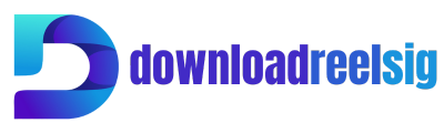 Download Reels IG Logo